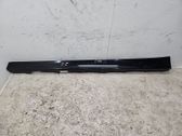 Front sill (body part)