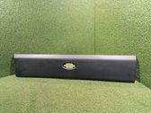 Rear door trim (molding)