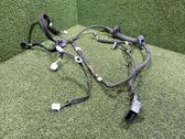 Front door wiring loom