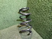 Front coil spring