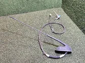 Antenna autoradio