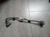 Other wiring loom