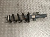 Front shock absorber with coil spring