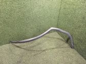 Rear door rubber seal (on body)