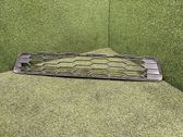 Front bumper lower grill
