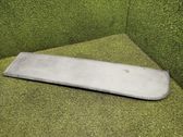 Rear door trim (molding)