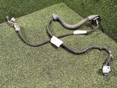 Rear door wiring loom