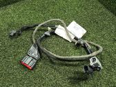 Cableado de puerta trasera