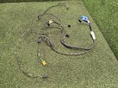 Front door wiring loom