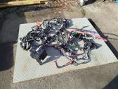 Other wiring loom