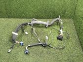 Front door wiring loom