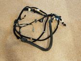 Rear door wiring loom