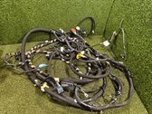 Other wiring loom