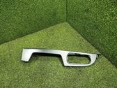 Other front door trim element