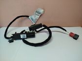Other wiring loom