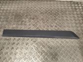Sliding door trim (molding)