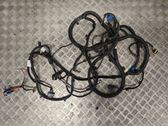 Other wiring loom