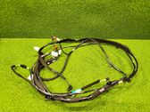 Other wiring loom