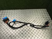Other wiring loom