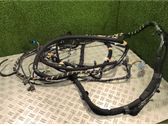 Other wiring loom
