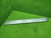 Sliding door trim (molding)