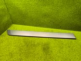 Sliding door trim (molding)