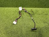 Other wiring loom
