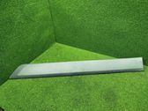 Sliding door trim (molding)