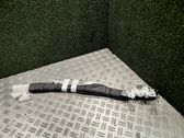 Roof airbag