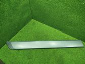 Sliding door trim (molding)