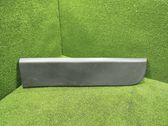 Rear door trim (molding)
