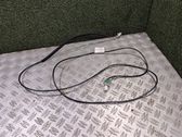 Radio antenna