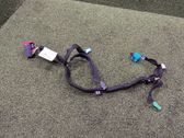 Other wiring loom
