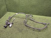 Parking sensor (PDC) wiring loom