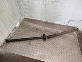 Drive shaft (set)