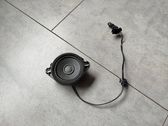 Panel speaker