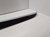 Rear door card trim