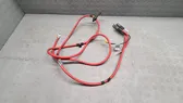 Positive cable (battery)