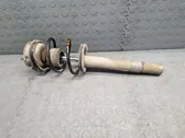 Front shock absorber/damper