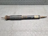 Stoßdämpfer hinten