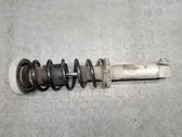 Rear shock absorber/damper