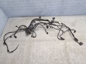 Engine installation wiring loom