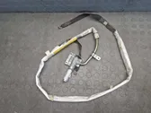 Kopfairbag