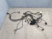 Engine installation wiring loom