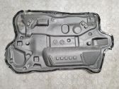 Other front door trim element