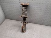 Front shock absorber/damper