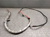 Positive cable (battery)