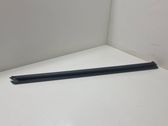 Rubber seal front door window/glass