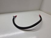 Wires (starter motor)