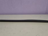 Rear door trim (molding)